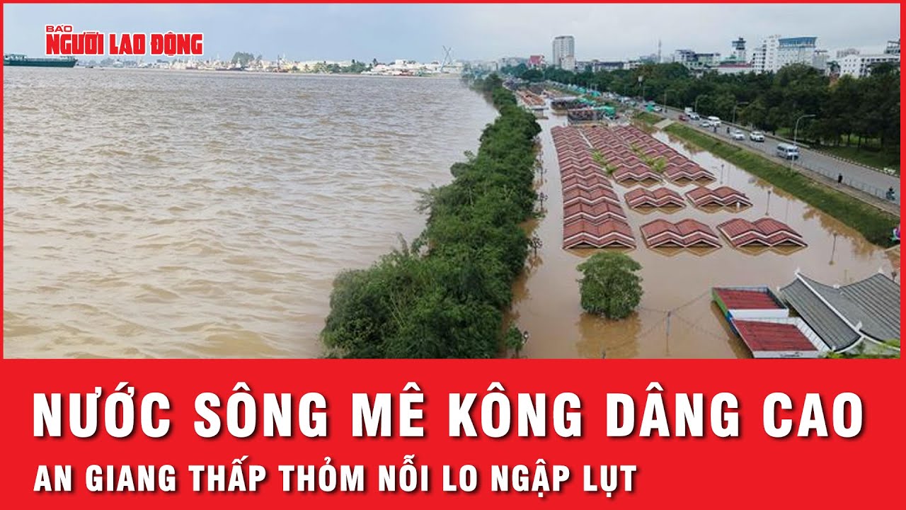 Nước sông Mê Kông lên cao 2 đợt trong tháng 10, An Giang thấp thỏm nỗi lo ngập lụt | Thời sự