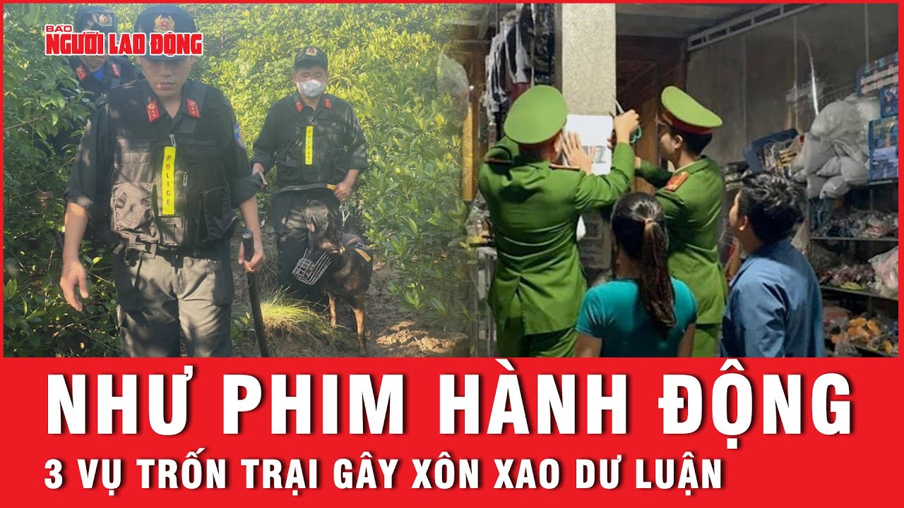 Lý giải nguyên do vì sao “trốn trại” trở thành từ khóa “hot” nửa cuối năm 2023 | Tin tức