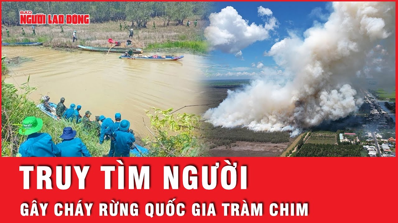 Truy tìm, xử lý nghiêm người xâm nhập trái phép gây ra vụ cháy Vườn Quốc gia Tràm Chim | Tin tức