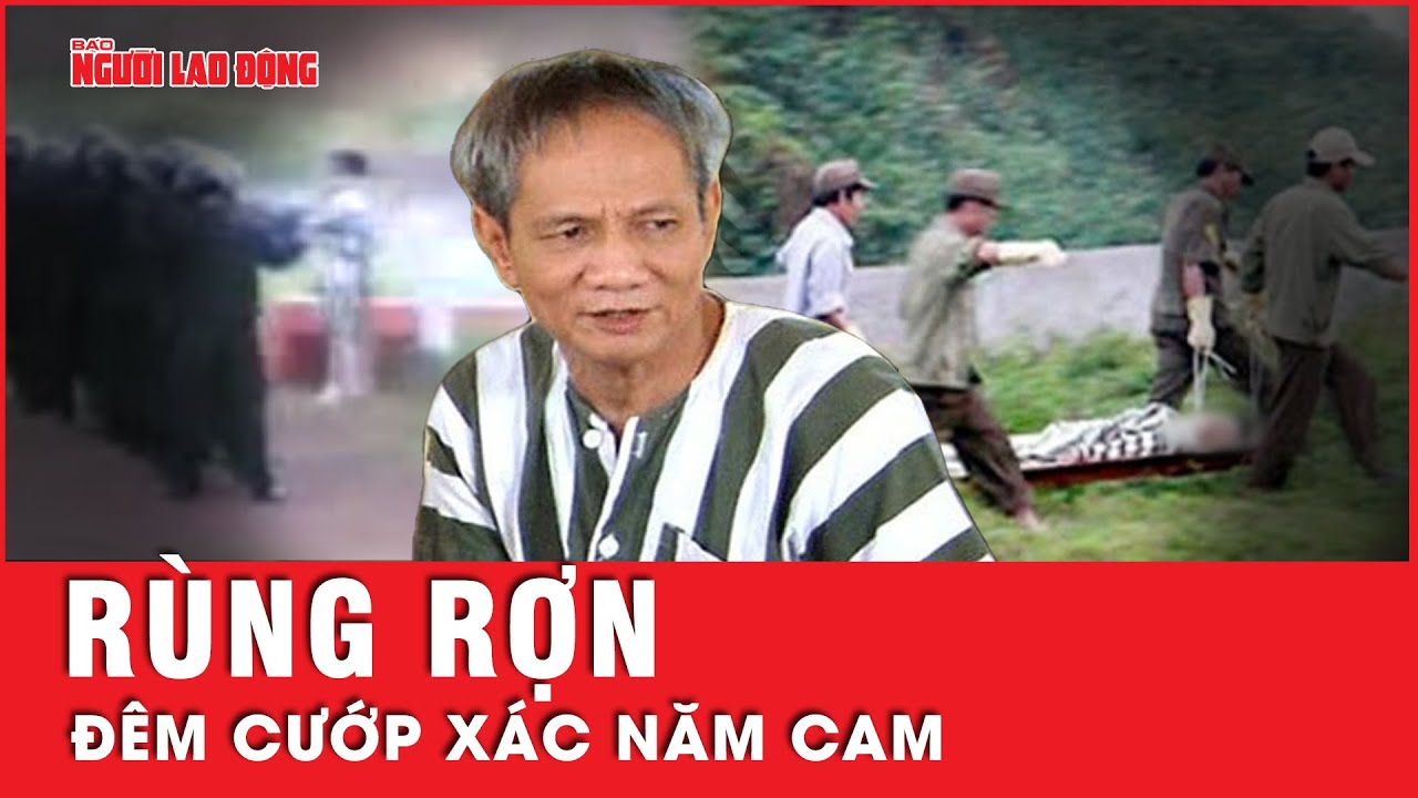 Đêm kinh hoàng ở trường bắn Long Bình: Sự thật rợn người vụ cướp xác Năm Cam | Tin tức