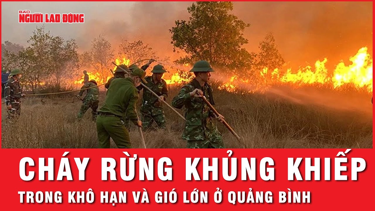 Cháy rừng khủng khiếp trong nắng nóng dữ dội ở Quảng Bình | Tin nhanh