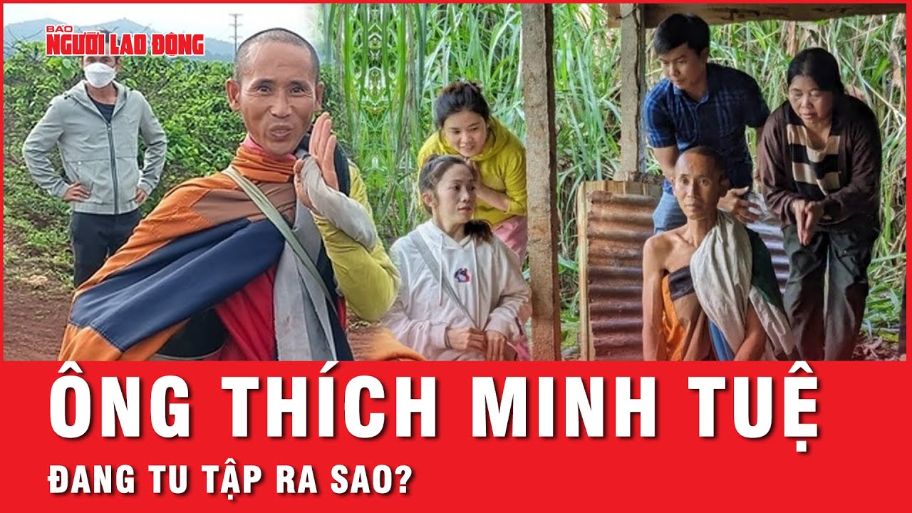 Sư Minh Tuệ sẽ tiếp tục học tập bình thường, khất thực theo giới luật của Phật giáo? | Thời sự