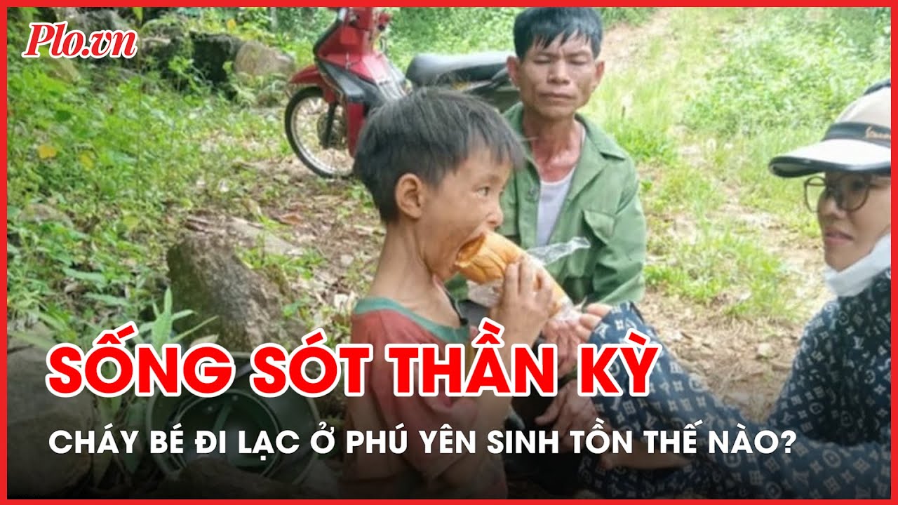 3 thứ 'đặc biệt' giúp cháu bé 6 tuổi sống sót thần kỳ sau 5 ngày lạc trong rừng sâu - PLO