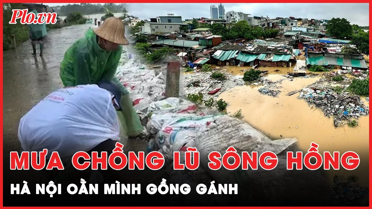 Mưa xối xả, lũ sông Hồng đổ bộ Thủ đô, Hà Nội gồng gánh ‘thiên tai kép’ | Thời sự