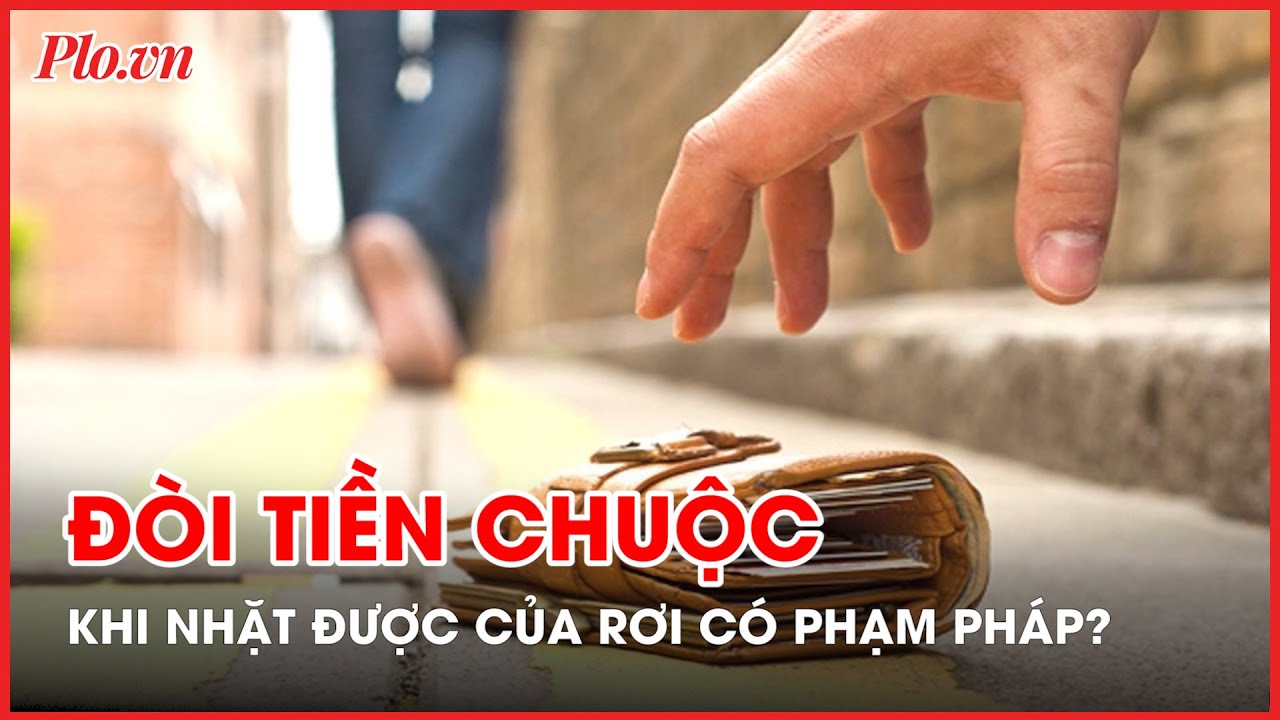 Nhặt được của rơi, đòi tiền chuộc có vi phạm pháp luật? - PLO