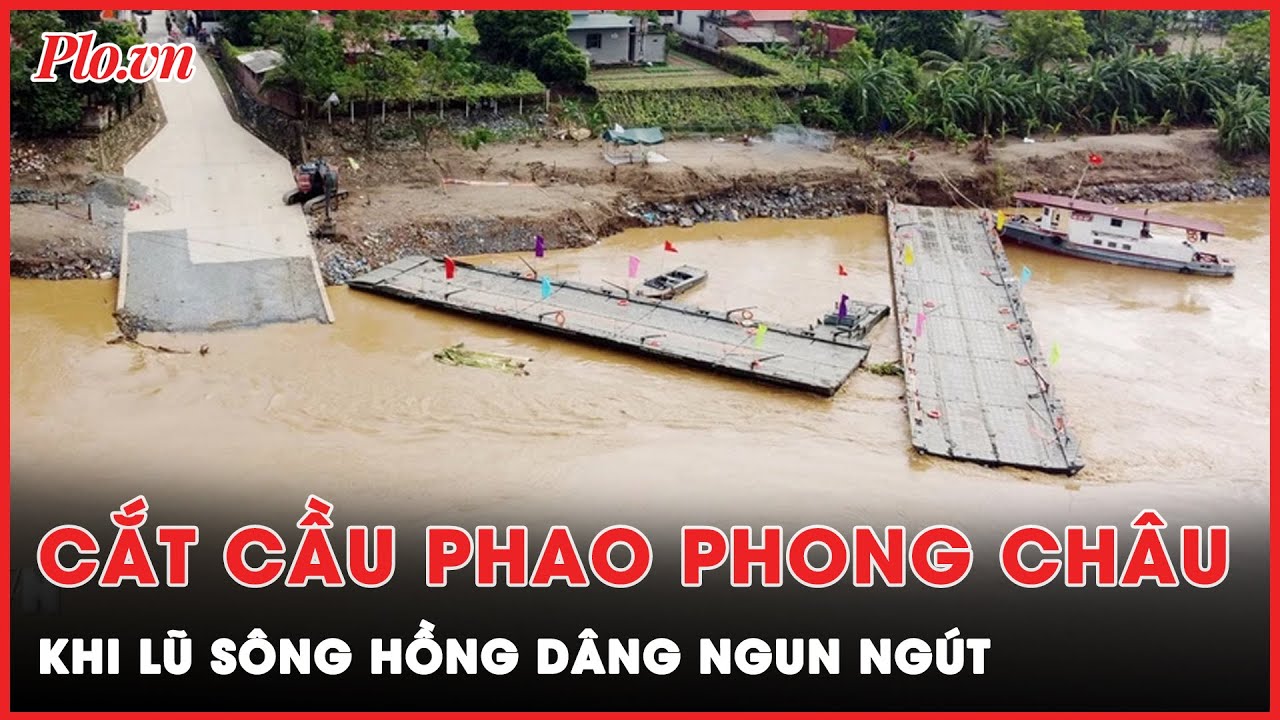 Lũ sông Hồng dâng cao ngun ngút, cắt cầu phao Phong Châu khi để đảm bảo an toàn | Thời sự