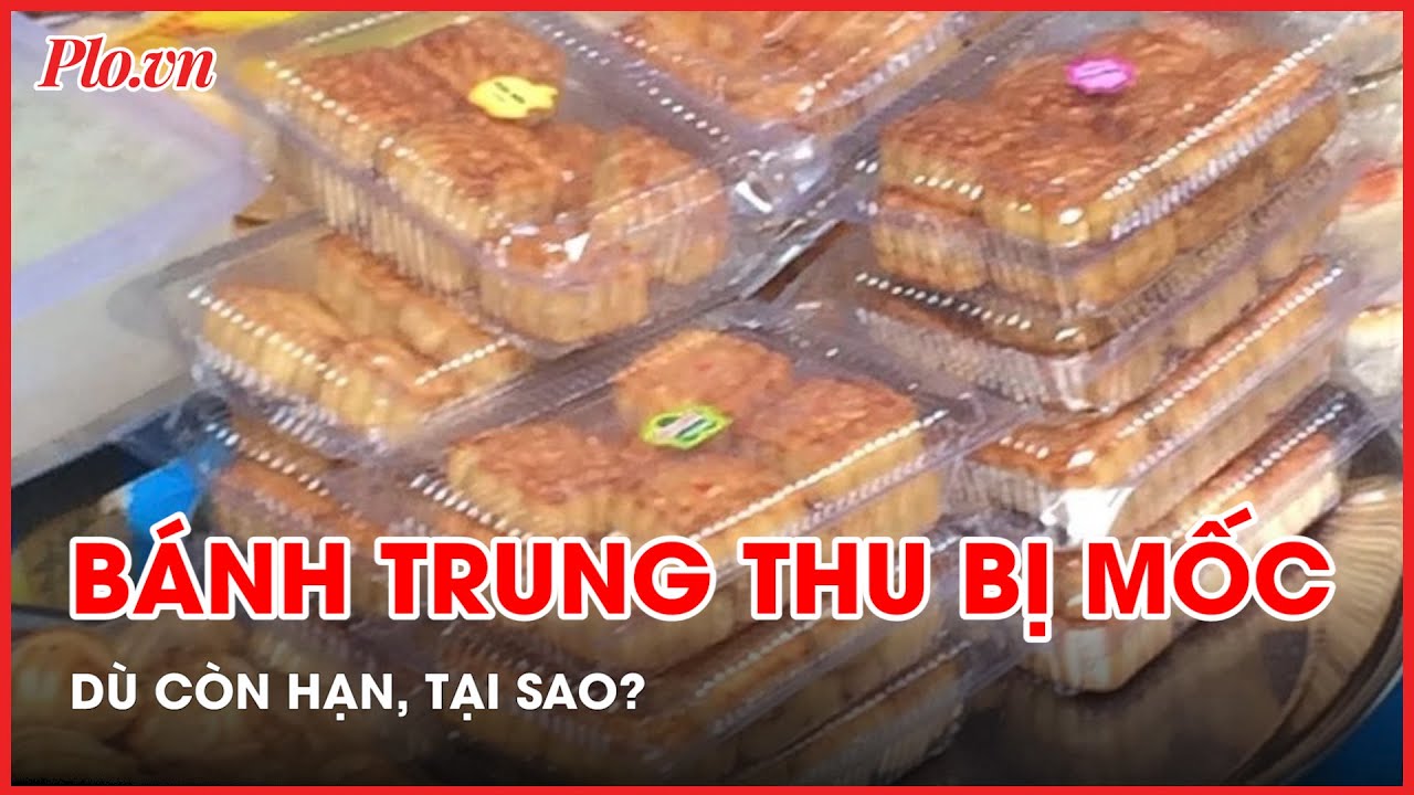 Bất ngờ nguyên nhân khiến bánh trung thu bị nấm mốc, hư hỏng dù còn hạn sử dụng - PLO