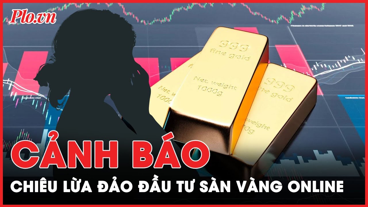 Đầu tư sàn vàng online, 1 phụ nữ bị lừa 24 tỉ đồng - PLO