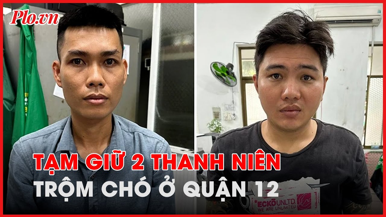 Thông tin mới vụ trộm chó bị ô tô tông, lời khai nghi phạm - PLO