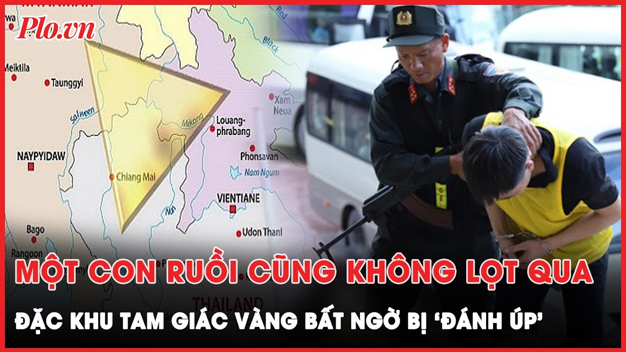 Cuộc đột kích chấn động: Công an Việt Nam và Lào ‘xóa sổ’ đường dây lừa đảo ở Tam Giác Vàng