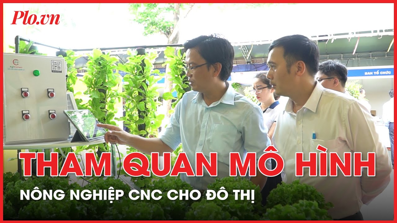 Tham quan mô hình nuôi mực lá, cá kết hợp trồng rau cho nông nghiệp đô thị tại TP.HCM - PLO