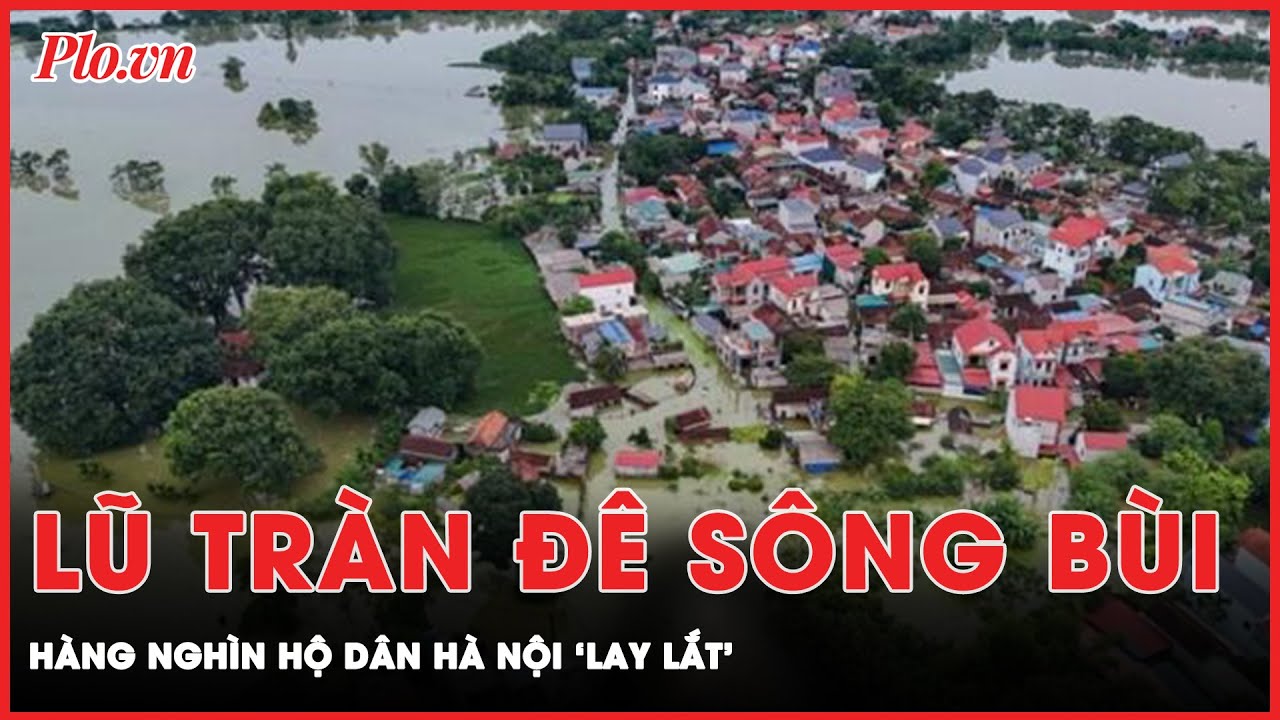 Lũ tràn bờ đê sông Bùi, hàng nghìn hộ dân Hà Nội sống trong cảnh lay lắt, tạm bợ | Thời sự