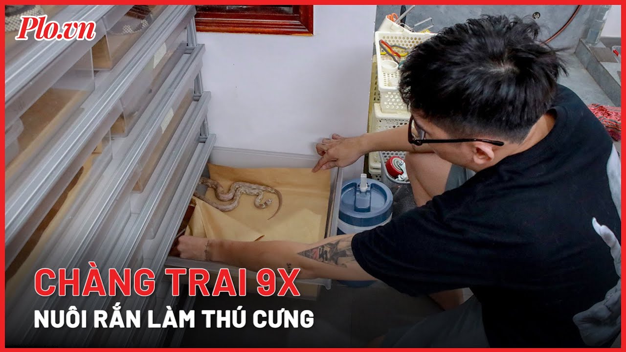 Chàng trai 9X nuôi rắn làm thú cưng- PLO