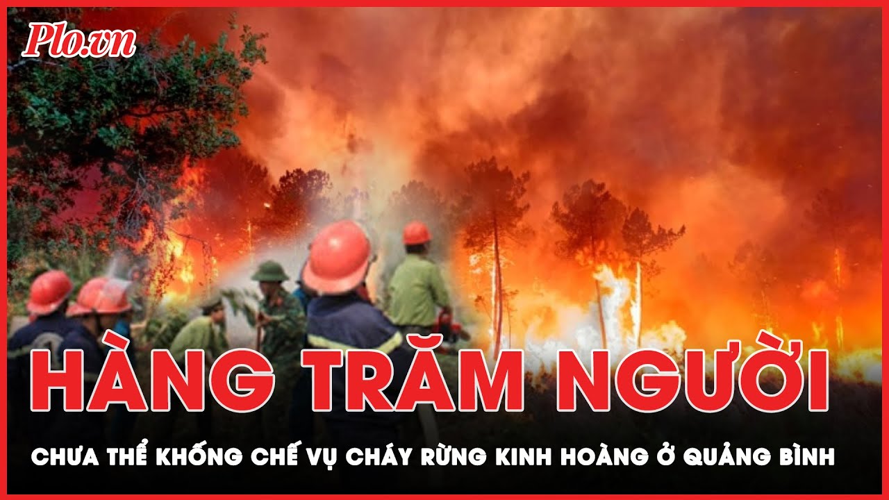 Rừng bạch đàn ở Quảng Bình cháy dữ dội, hàng trăm người cứu hộ vẫn chưa thể khống chế | Thời sự