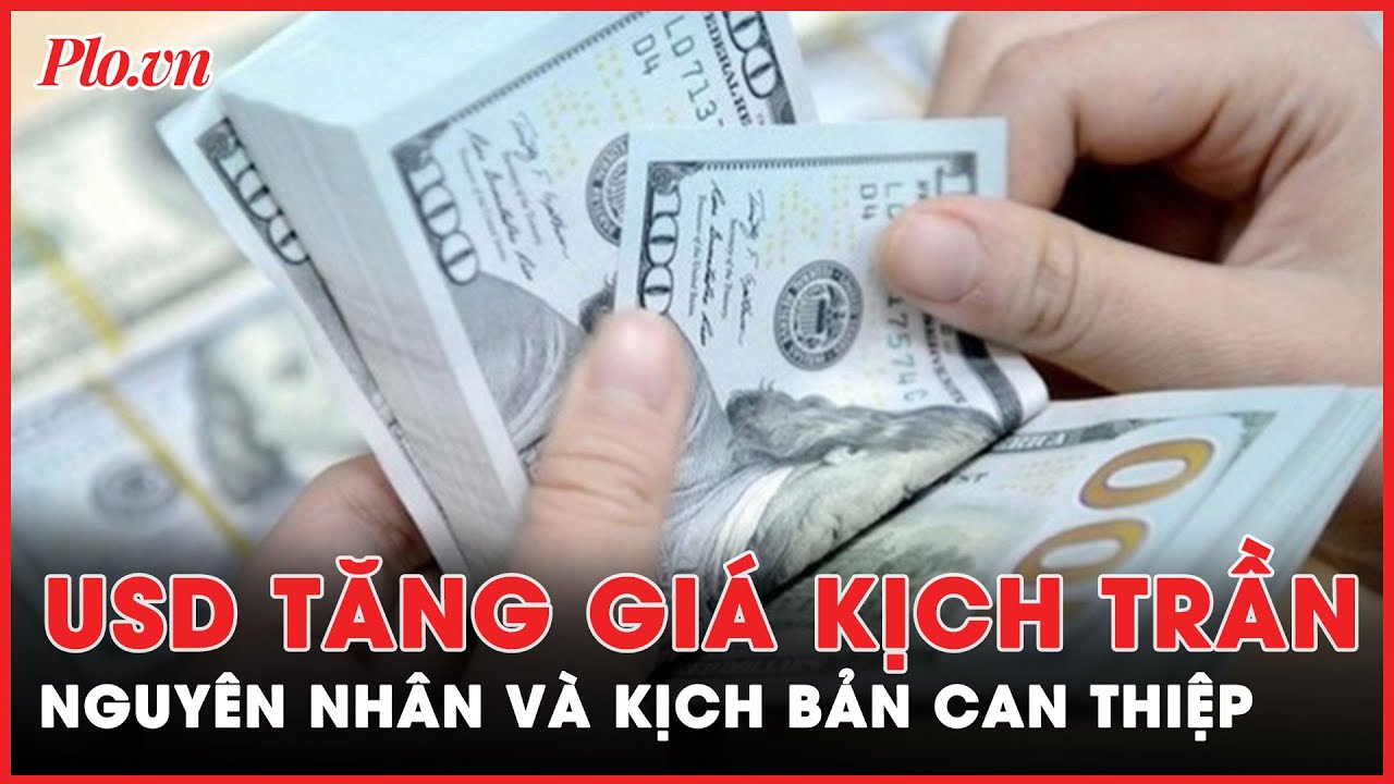 USD tăng giá kịch trần: Nguyên nhân và kịch bản can thiệp - PLO