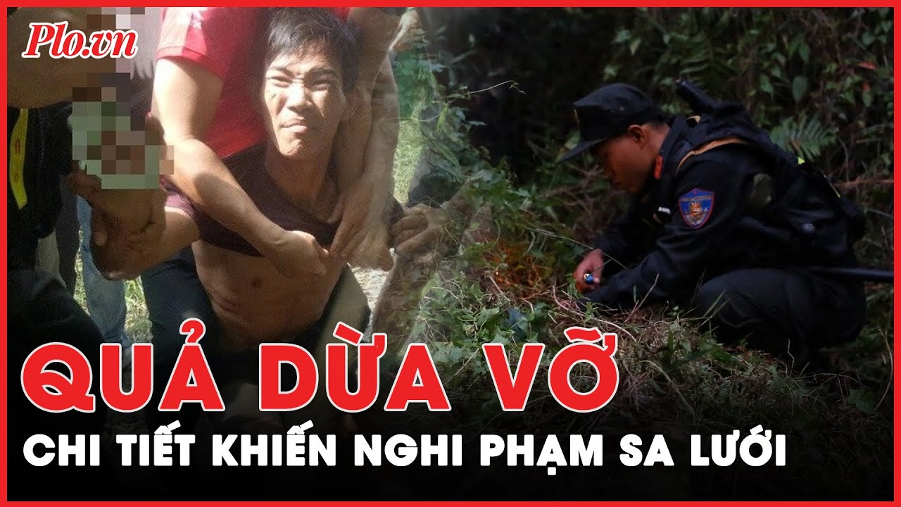 Quả dừa bị đập vỡ: Manh mối khiến nghi phạm giết nữ nhân viên quán cà phê ở Hóc Môn sa lưới | PLO