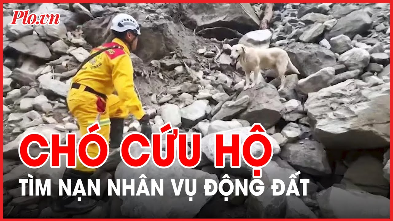 'Những nhân viên cứu hộ đặc biệt' trong động đất tại Đài Loan - PLO