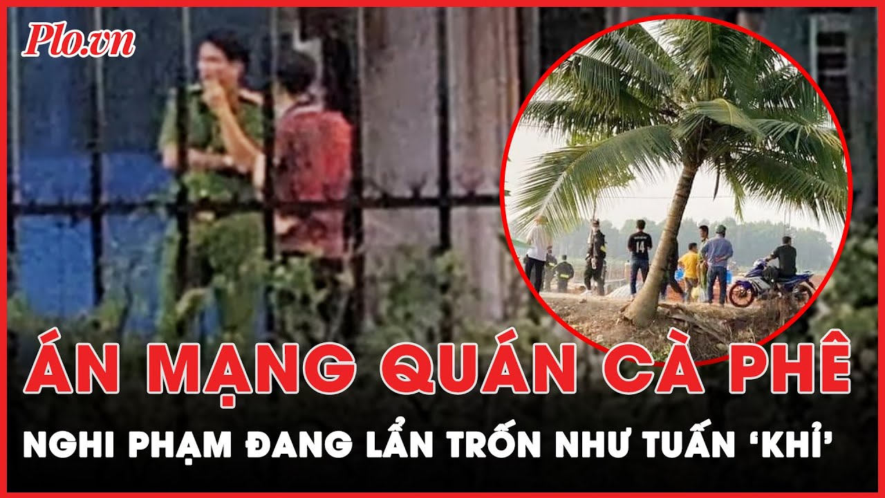 Nghi phạm sát hại chủ quán cà phê lẩn trốn trong khu vực hiểm trở như vụ án Tuấn ‘Khỉ’ | Tin nhanh