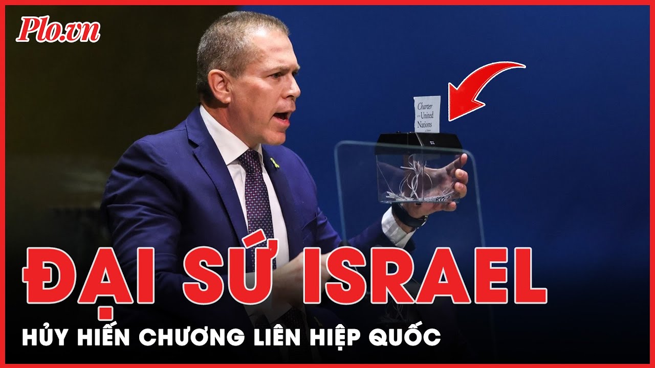 Đại sứ Israel vô cùng giận dữ, hủy Hiến chương Liên Hiệp Quốc | Thời sự quốc tế