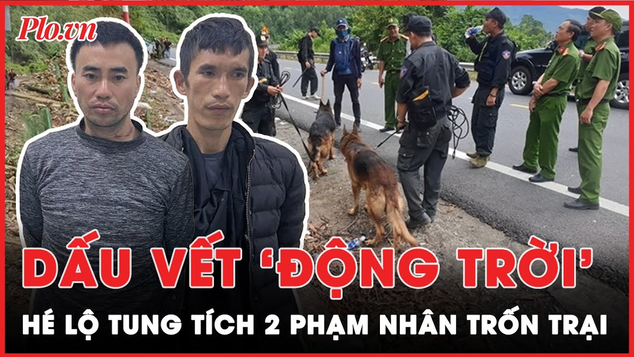 Tiết lộ manh mối quan trọng giúp công an lần ra dấu vết 2 phạm nhân trốn trại ở Hà Tĩnh | Tin nhanh