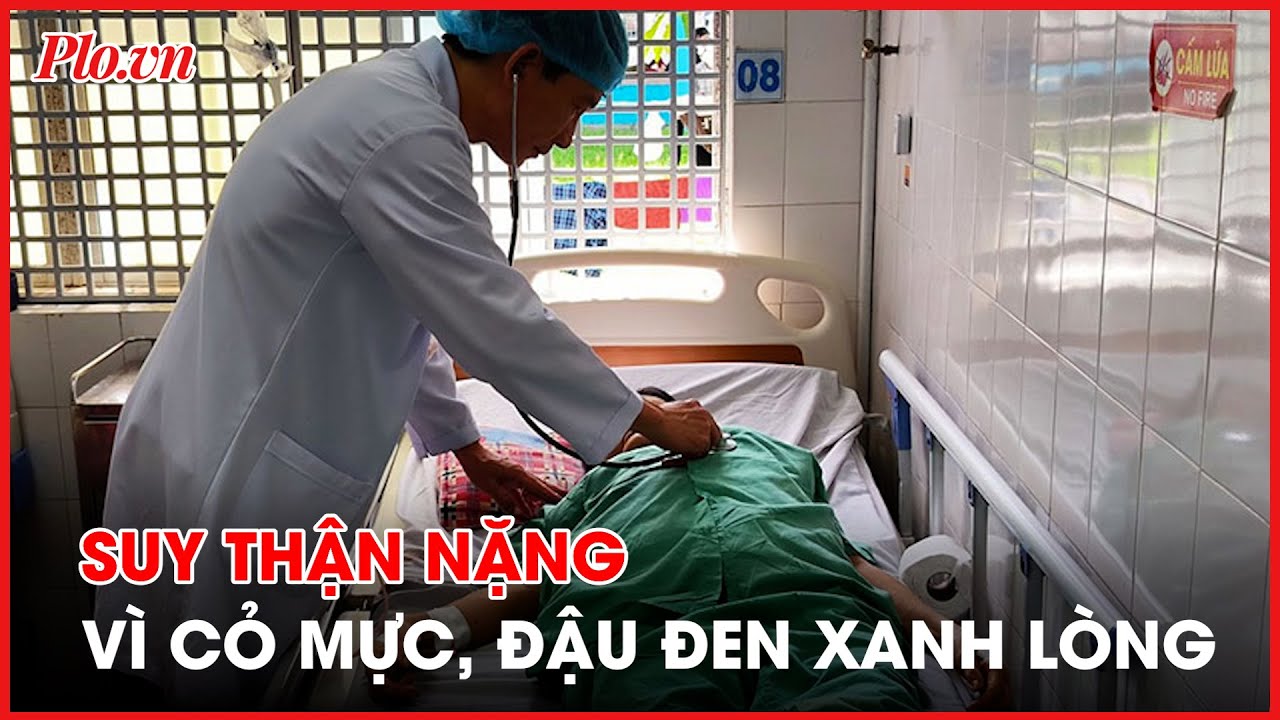 Suy thận nặng vì phương thuốc truyền miệng bằng cỏ mực, đậu đen xanh lòng - PLO