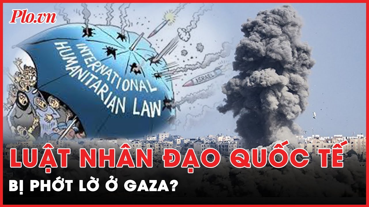 Israel đột kích, bắt giám đốc bệnh viện tại Gaza, luật nhân đạo quốc tế bị phớt lờ?  | PLO