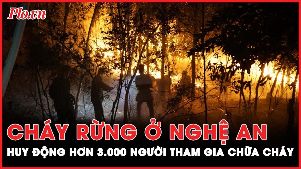 Hơn 3.000 người xuyên đêm chữa cháy rừng ở Nghệ An | PLO