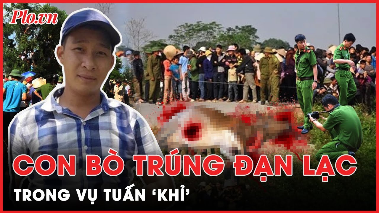 Ngã ngửa với chi tiết con bò trúng đạn lạc trong vụ án Tuấn ‘khỉ’ | Hành trình phá án