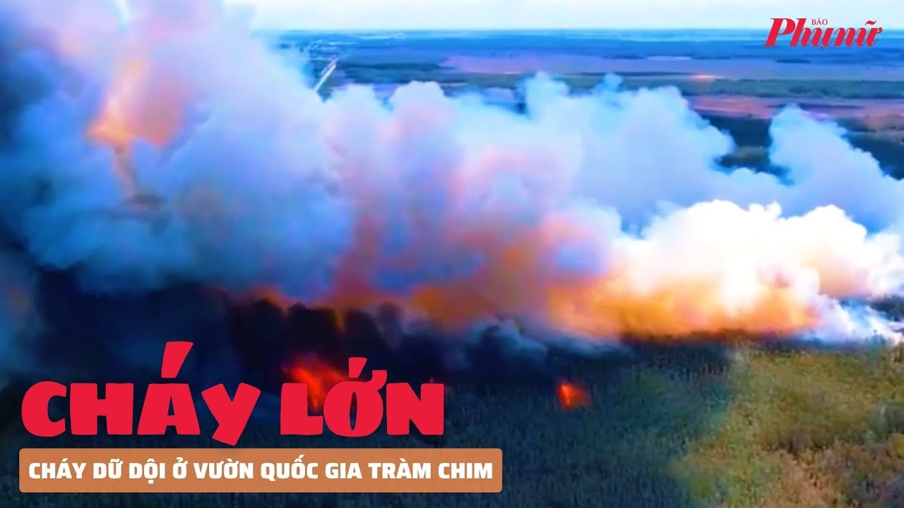 Cháy dữ dội ở Vườn quốc gia Tràm Chim | Báo Phụ Nữ