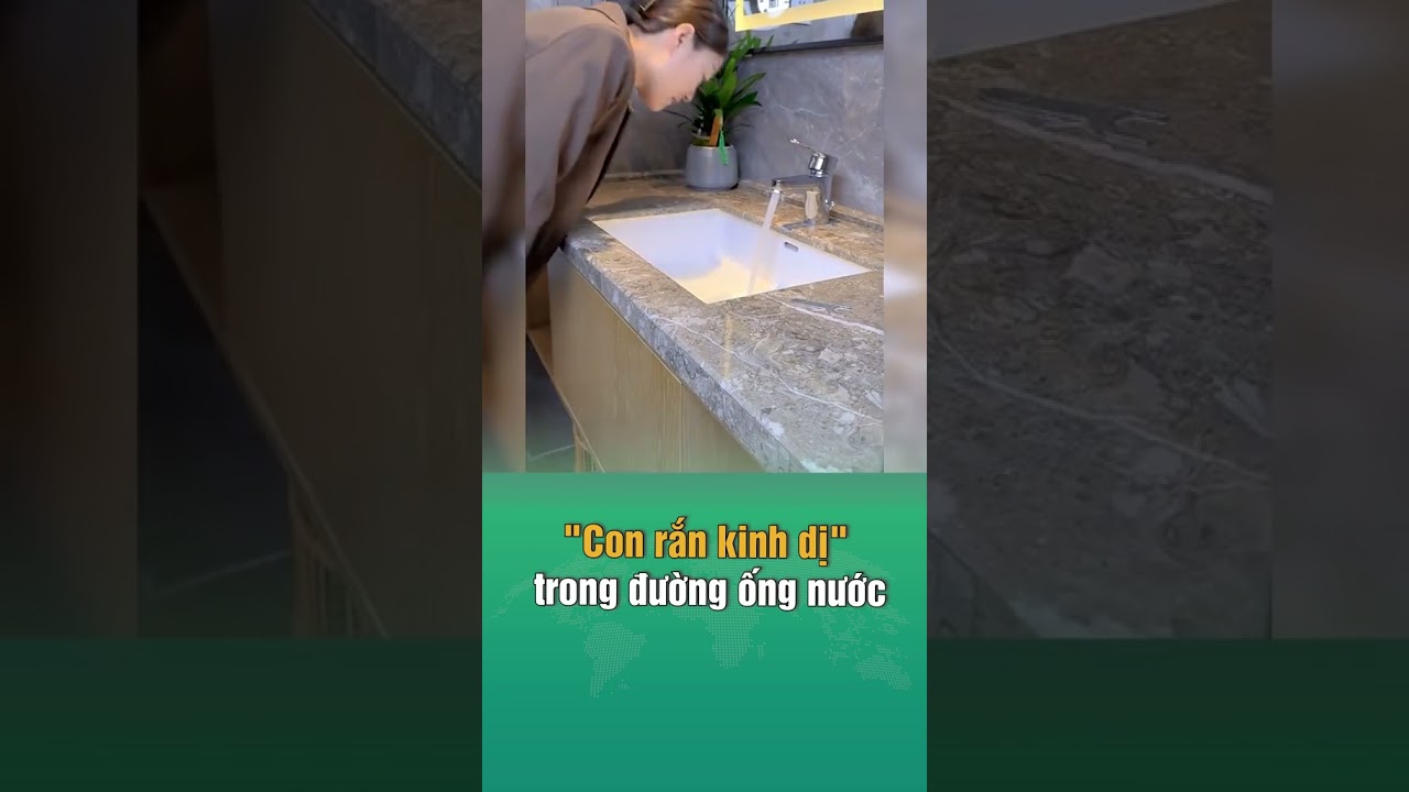 Con rắn kinh dị trong đường ống nước #sohahome #sohashorts #shorts  #mẹovặt