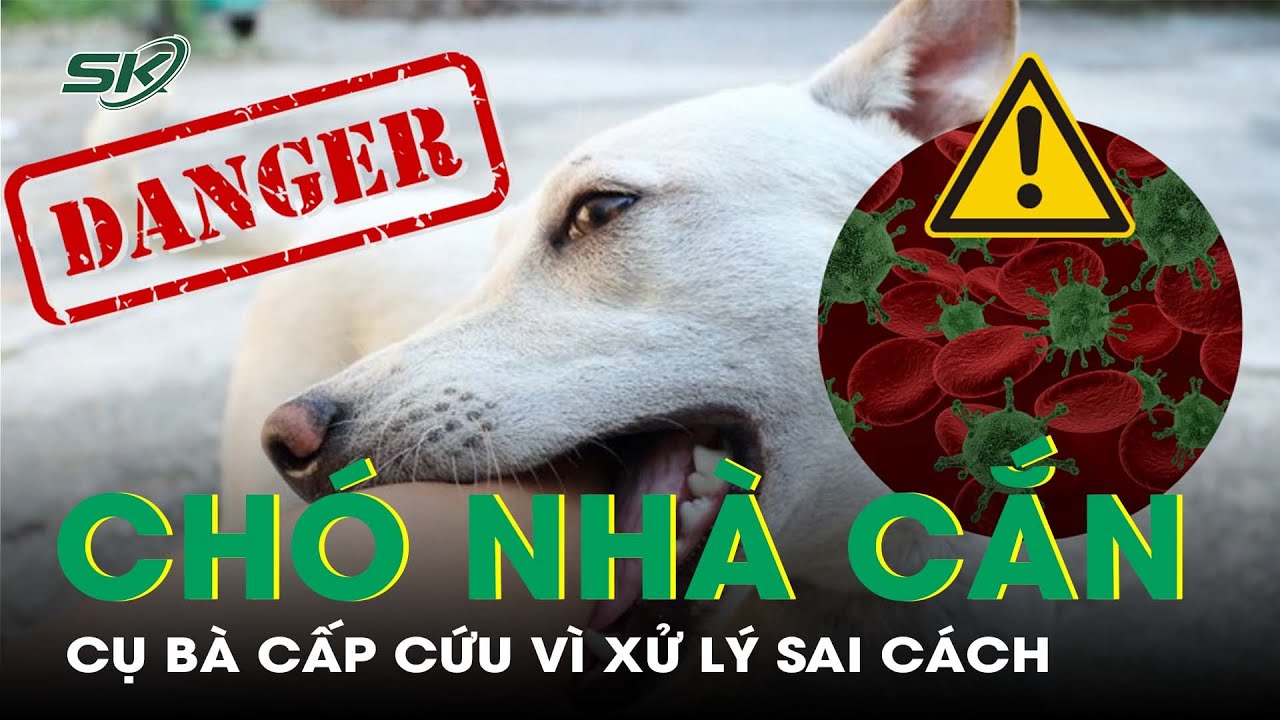 Mắc Sai Lầm Sau Khi Bị Chó Nhà Cắn, Cụ Bà Nhập Viện Cấp Cứu Vì Nhiễm Trùng I SKĐS