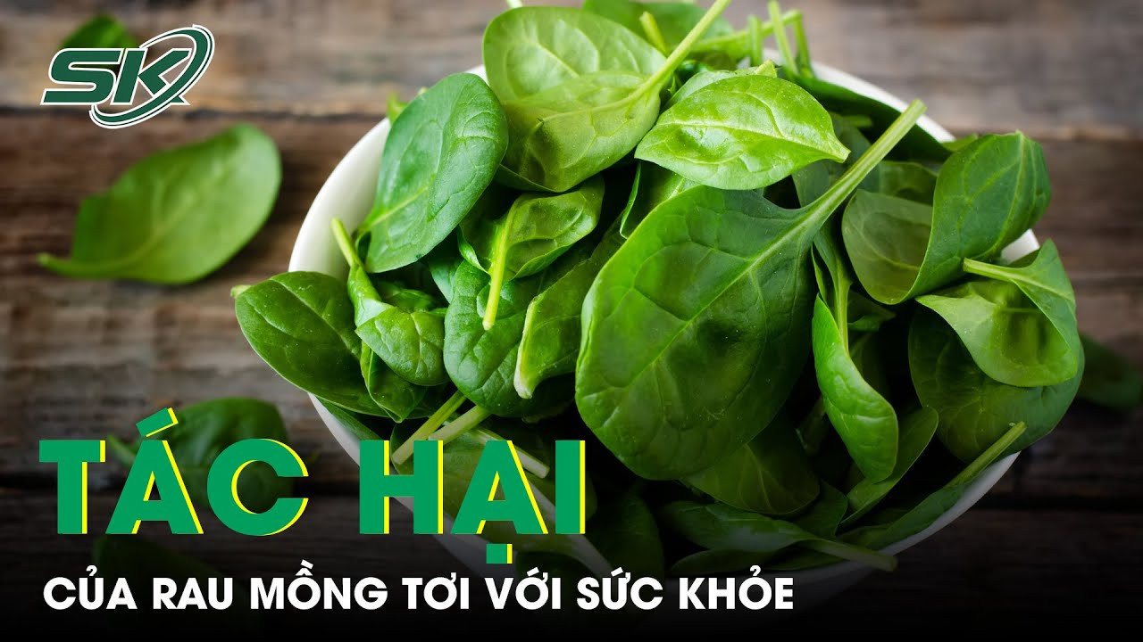 Bất Ngờ Với Những Tác Hại Của Rau Mồng Tơi Đối Với Sức Khỏe | SKĐS