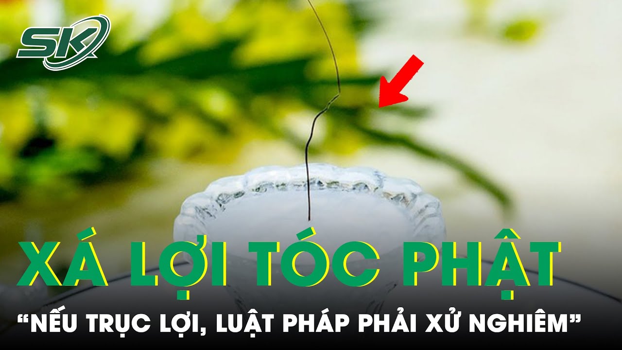 Vụ “Xá Lợi Tóc Phật” Ở Chùa Ba Vàng: Nếu Trục Lợi, Luật Pháp Phải Xử Nghiêm | SKĐS