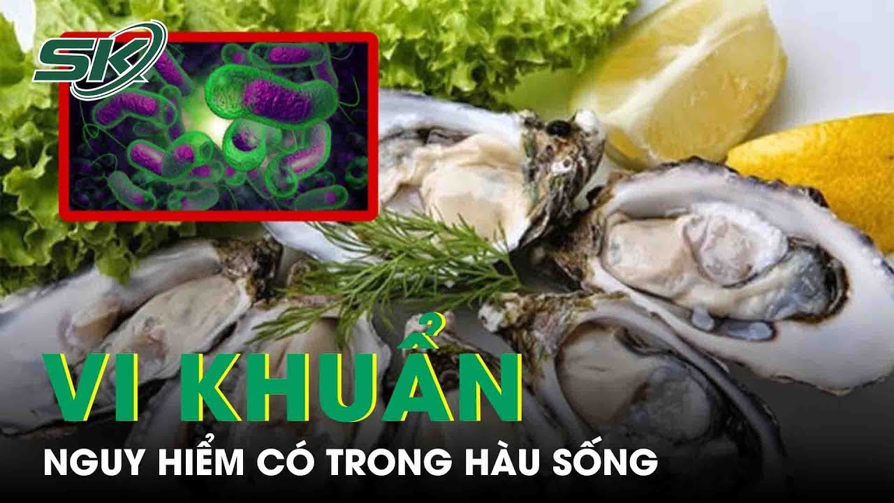 Vi Khuẩn Nguy Hiểm Có Trong Hàu Sống | SKĐS