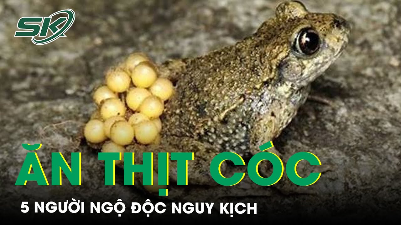 5 Người Nguy Kịch Bị Ngộ Độc Vì Ăn Thịt Cóc | SKĐS