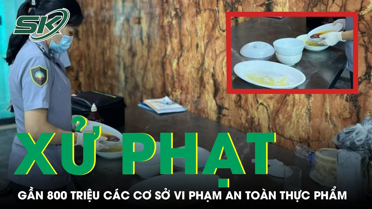 Nghệ An: Xử Phạt Gần 800 Triệu Đồng Các Cơ Sở Vi Phạm An Toàn Thực Phẩm | SKĐS