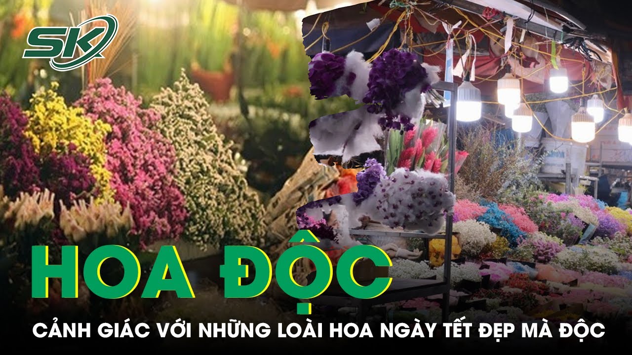 Cẩn Trọng Với Một Số Loài Hoa Ngày Tết Đẹp Nhưng... Độc | SKĐS