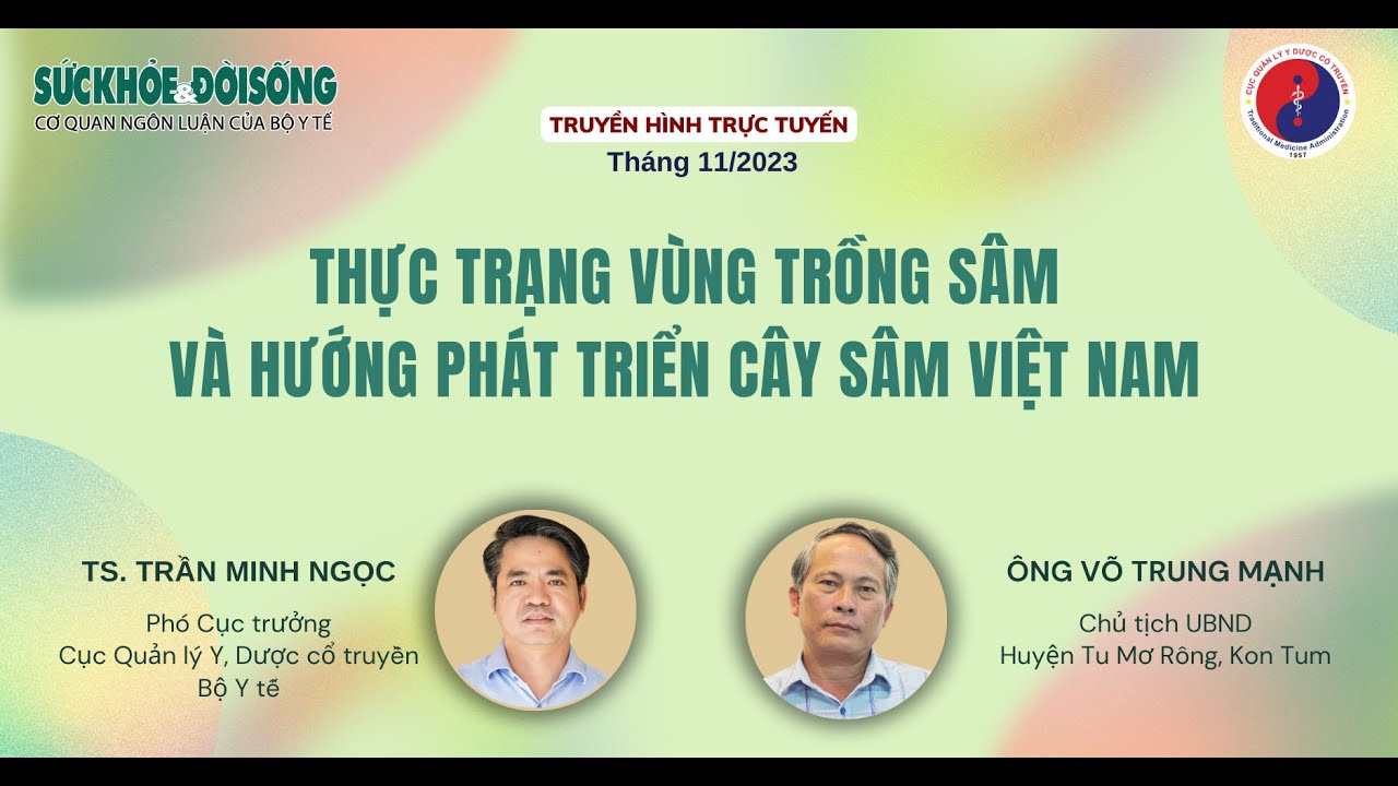 Thực trạng vùng trồng sâm và hướng phát triển cây sâm Việt Nam