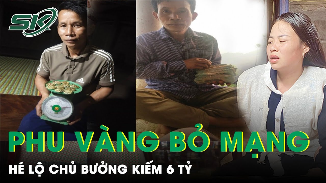 Nước Mắt Phu Vàng - Chưa Giàu Đã Bỏ Mạng, Chủ Bưởng Kiếm Tiền Tỷ | SKĐS