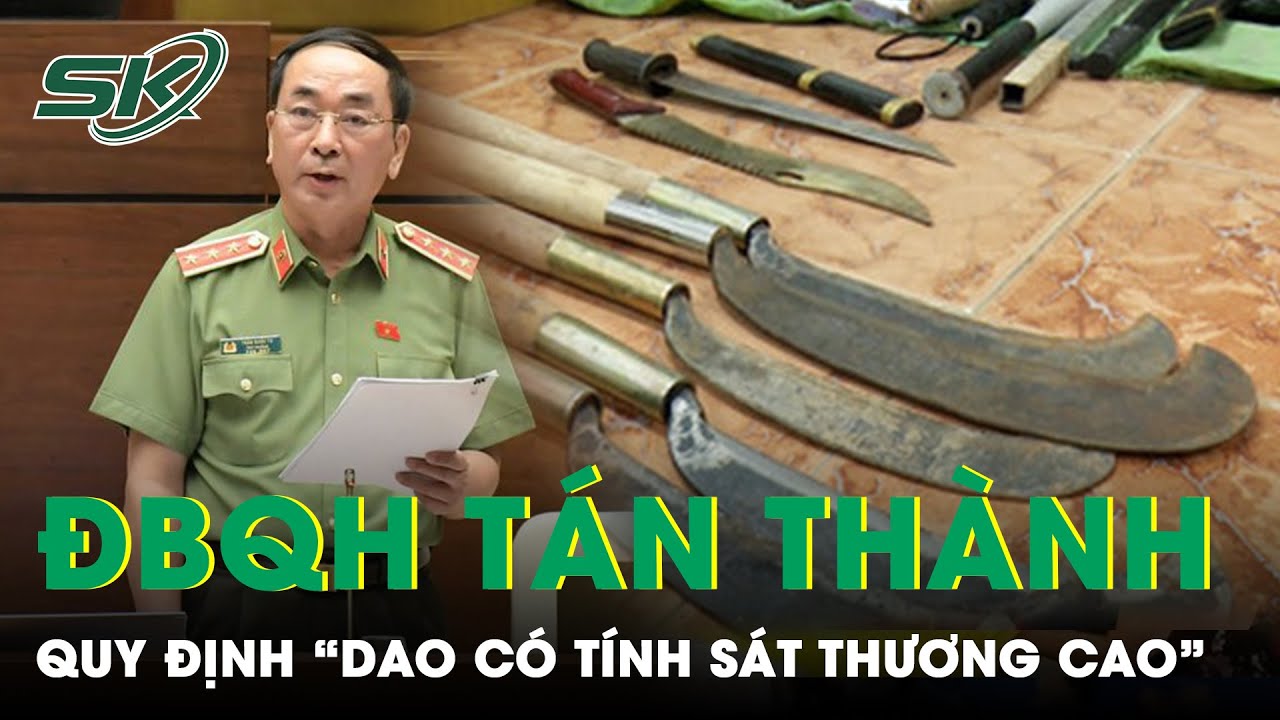 Nhiều Đại Biểu Quốc Hội Tán Thành Bổ Sung “Dao Có Tính Sát Thương Cao” Vào Nhóm Vũ Khí Thô Sơ | SKĐS