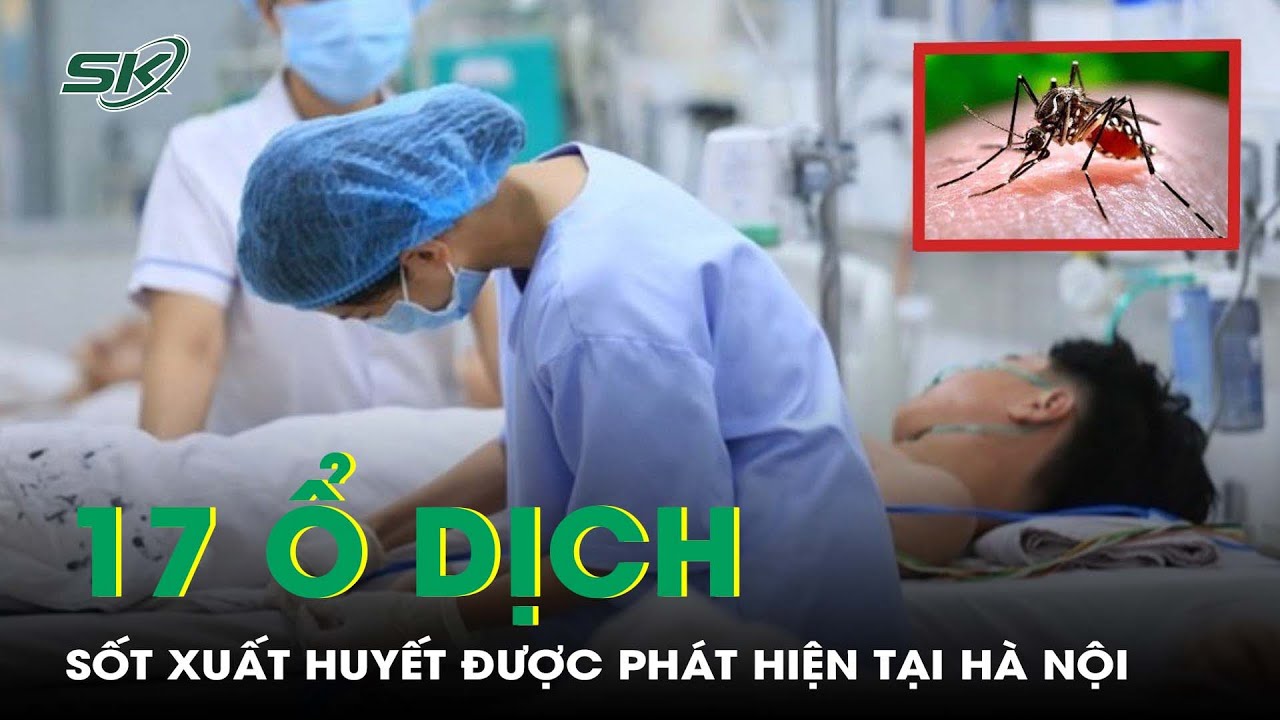 Phát hiện thêm 17 ổ dịch sốt xuất huyết trong một tuần tại Hà Nội | SKĐS