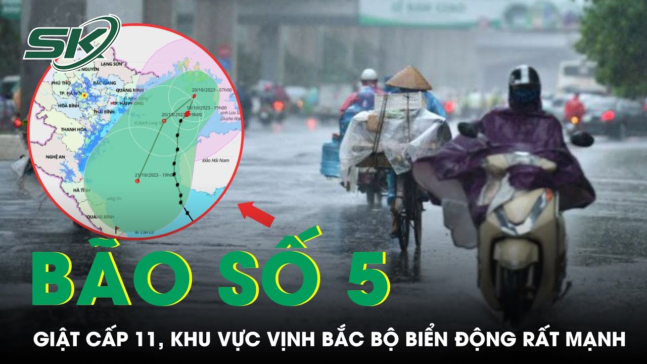 Bão Số 5 Giật Cấp 11 Trên Vùng Biển Vịnh Bắc Bộ, Nhiều Địa Phương Cấm Tàu, Thuyền Ra Biển | SKĐS