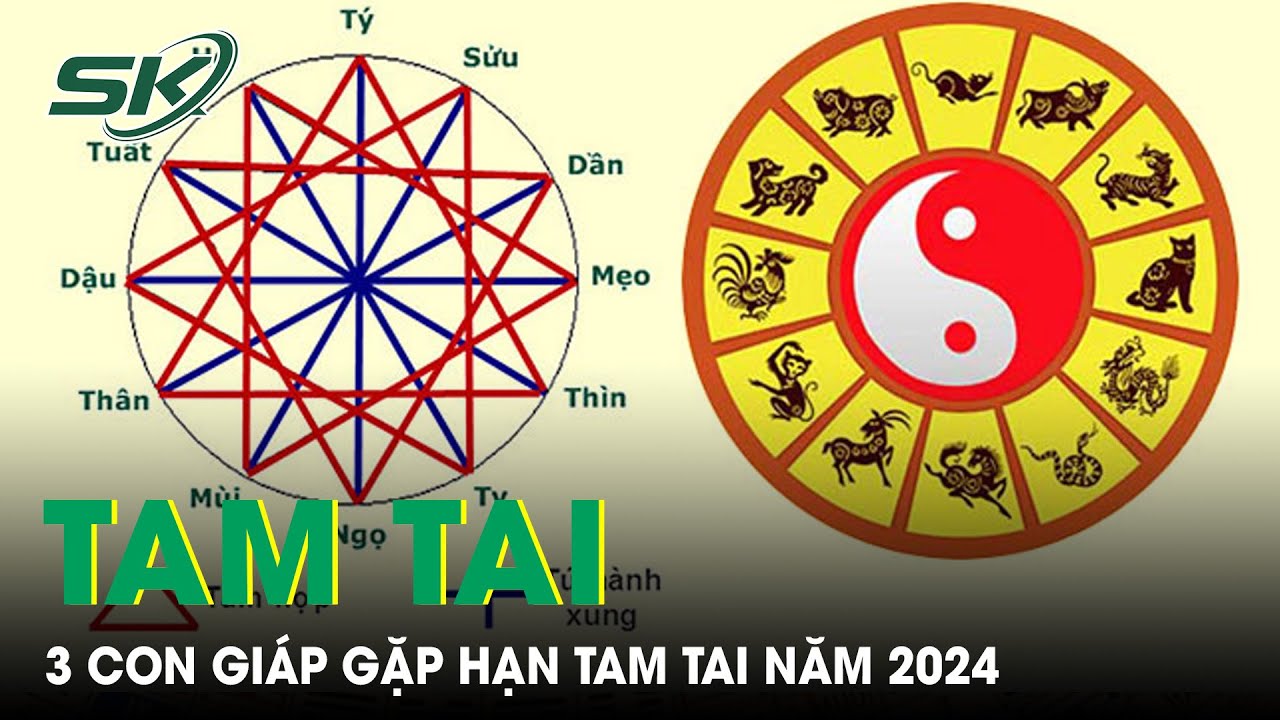 3 Con Giáp Sẽ Gặp Hạn Tam Tai Năm 2024: Hóa Giải Như Thế Nào? | SKĐS