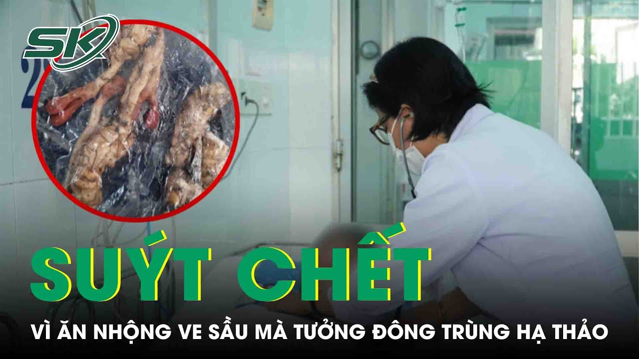 Suýt Chết Vì Ăn Nhộng Ve Sầu Mà Tưởng Đông Trùng Hạ Thảo | SKĐS