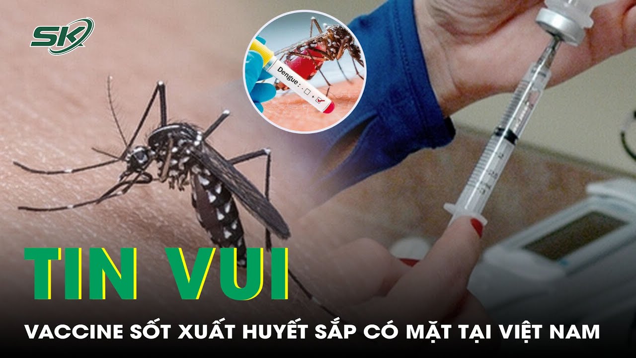 Vaccine sốt xuất huyết sắp có mặt tại Việt Nam | SKĐS