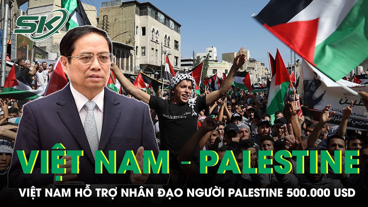 Việt Nam Đóng Góp 500.000 USD Cứu Trợ Nhân Đạo Người Dân Palestine Tại Dải Gaza | SKĐS