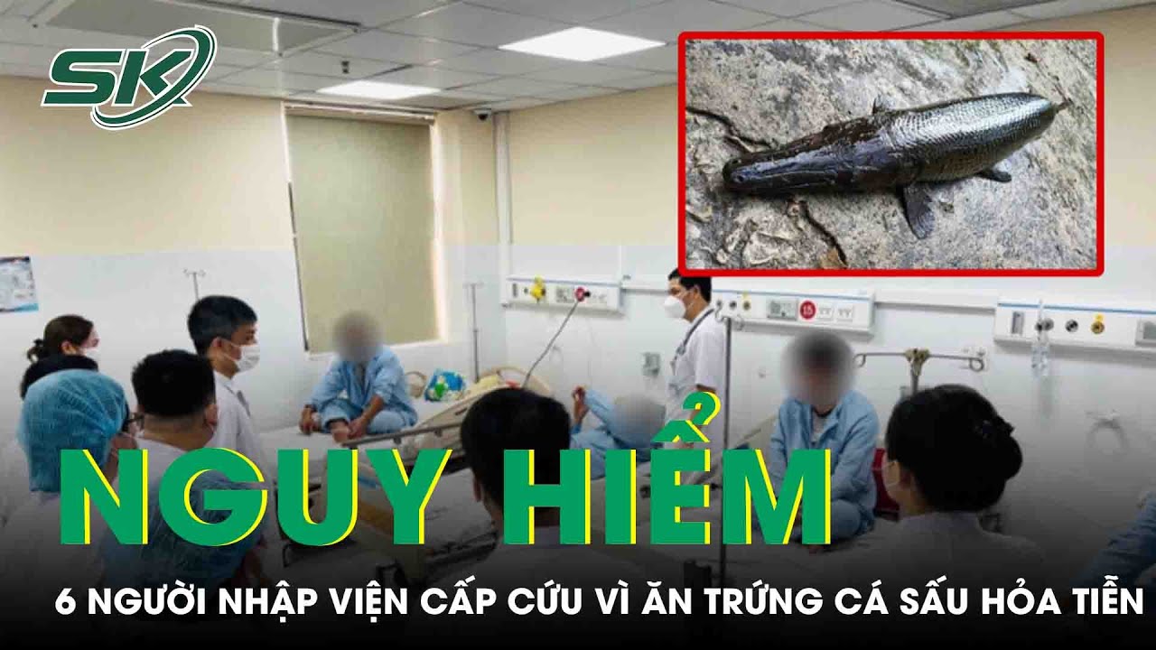 Ăn Trứng Cá Sấu Hỏa Tiễn, 6 Người Đàn Ông Phải Nhập Viện Cấp Cứu | SKĐS