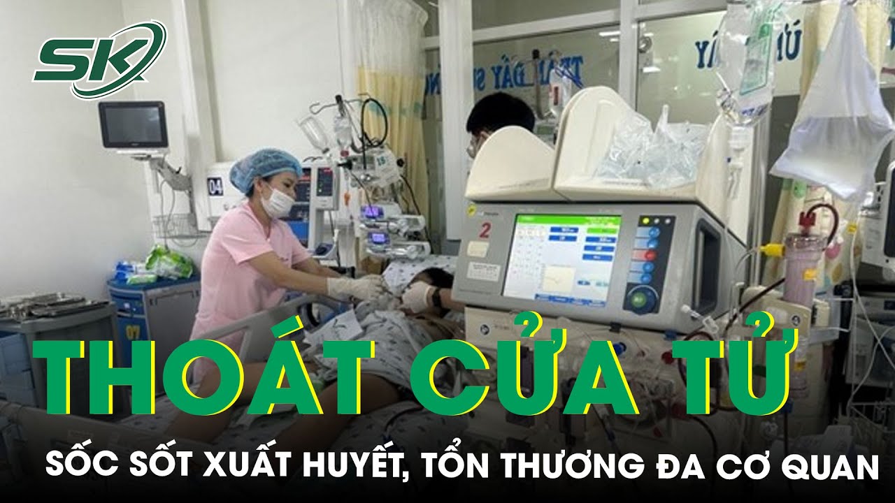 Thiếu Nữ Sốc Sốt Xuất Huyết Nặng, Tổn Thương Đa Cơ Quan | SKĐS