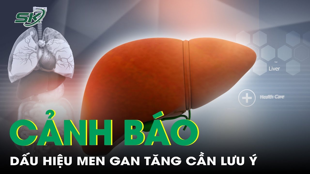 Cảnh Báo Dấu Hiệu Men Gan Tăng Cần Lưu Ý | SKĐS