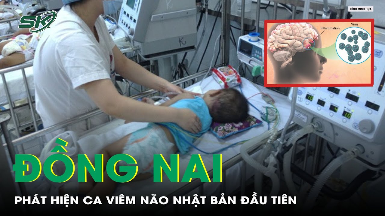 Đồng Nai: Phát Hiện Ca Viêm Não Nhật Bản Đầu Tiên | SKĐS